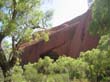 Ayers Rock - Uluru (7)
